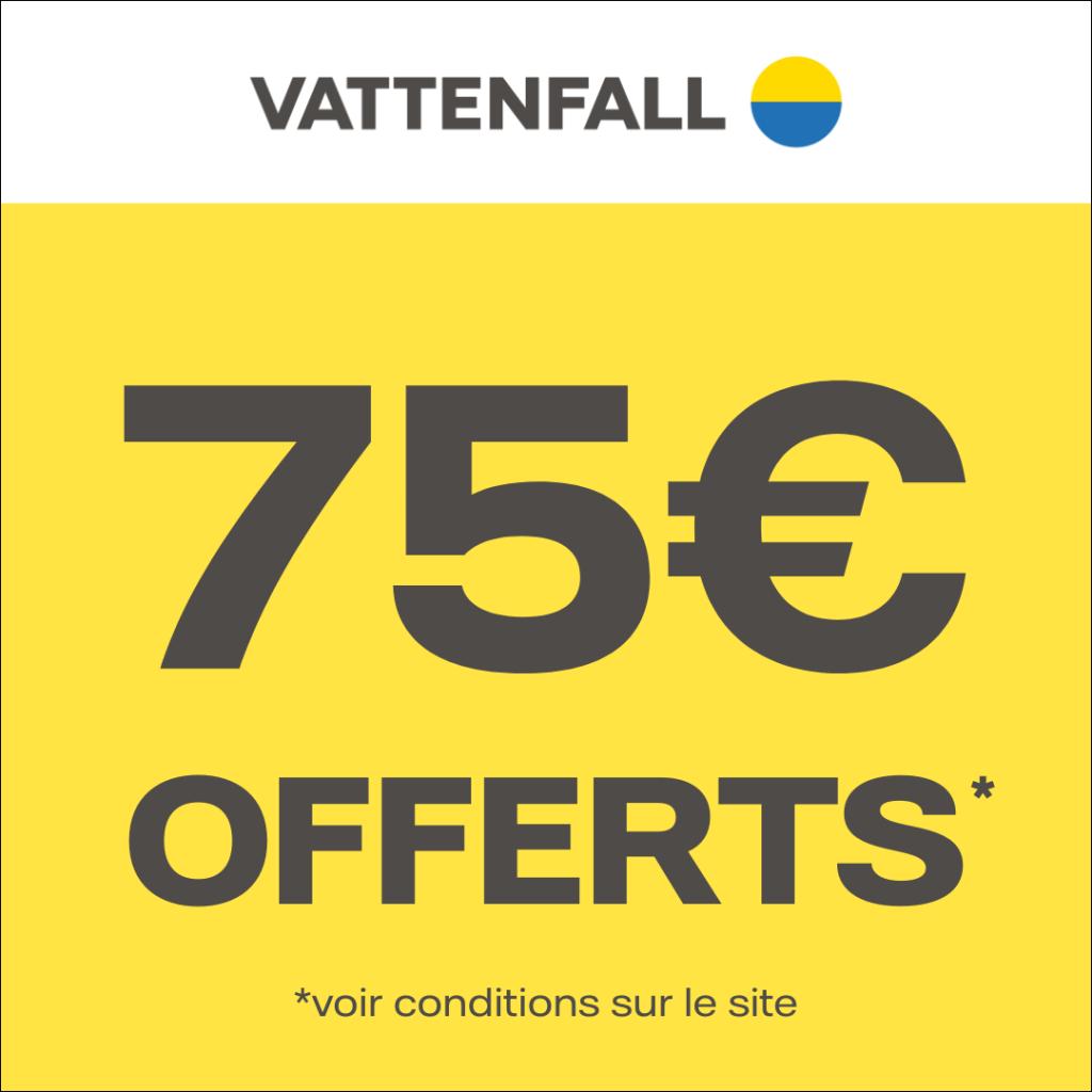 vattenfall pub