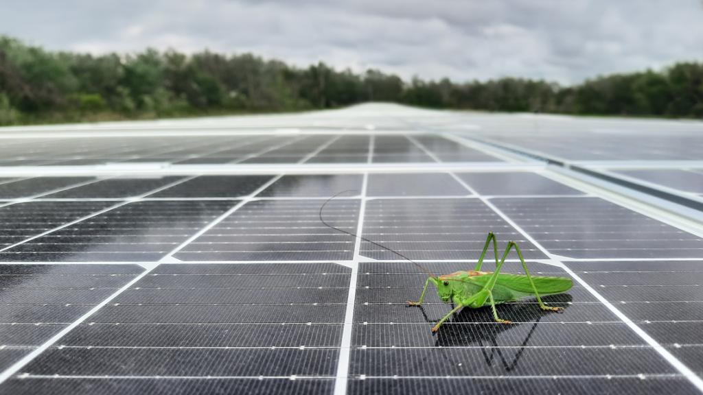 Comment fonctionne un panneau solaire ? 