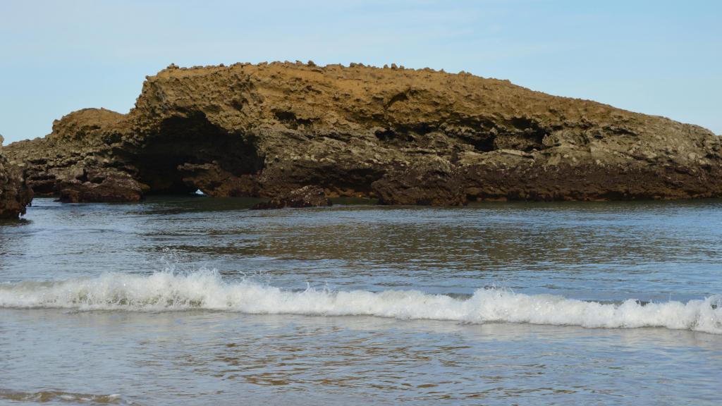 La pêche interdite pour protéger les dauphins dans le Golfe de Gascogne