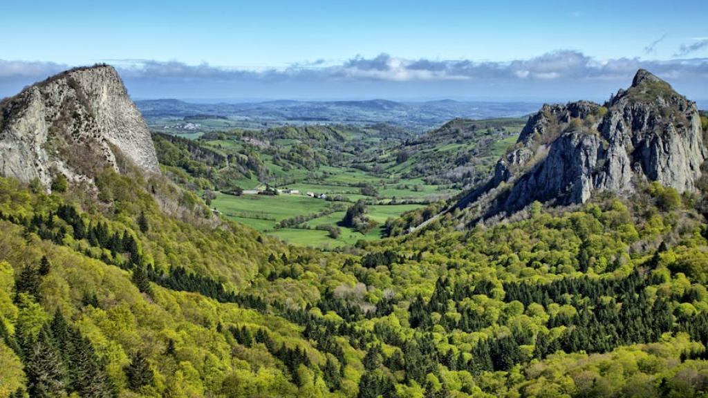 Forêt française près du Mont Doré
