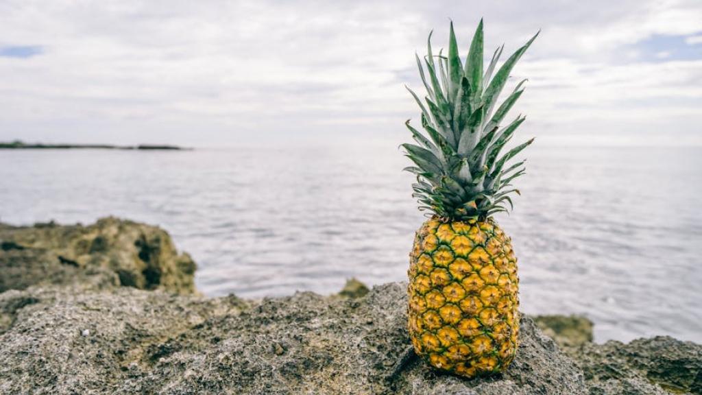 Moonkeys créations fait des portefeuilles à base d'ananas