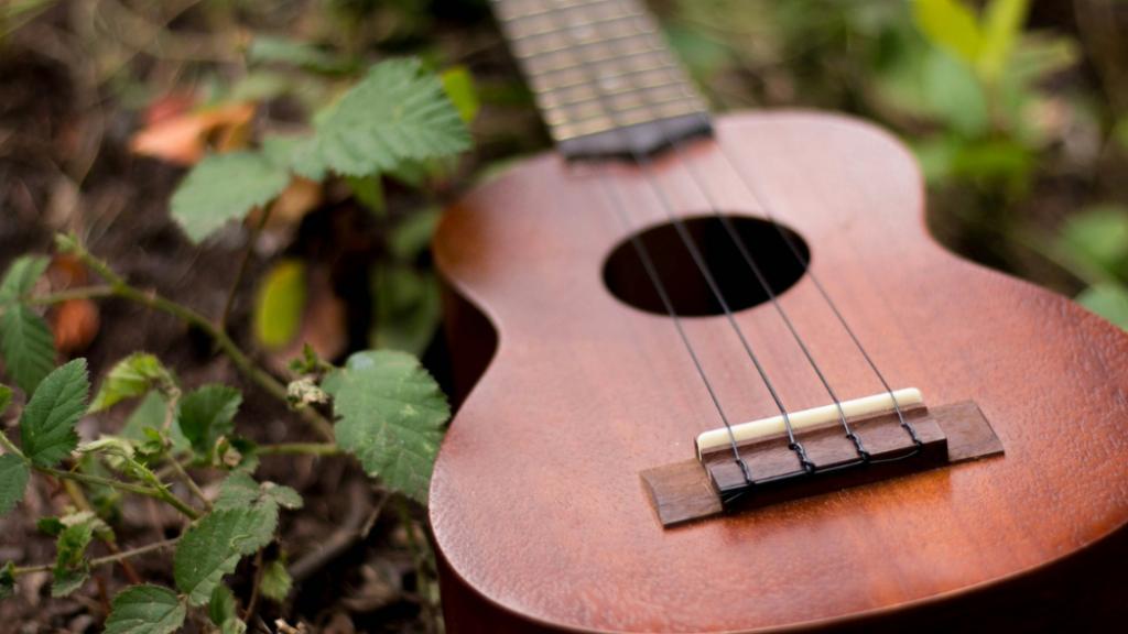 Musique dans la nature