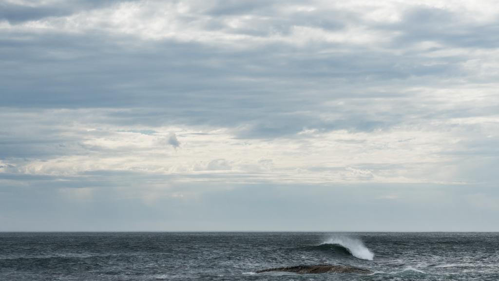 ocean rechauffement