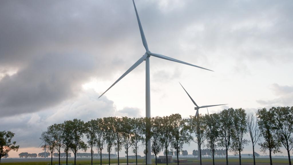 eolienne arbre allemagne