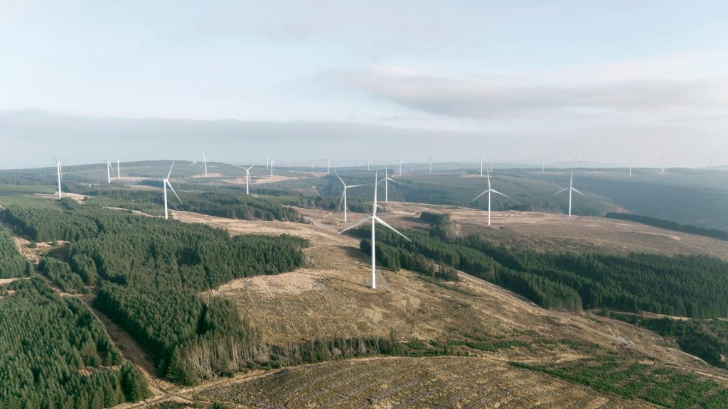 ferme éolienne