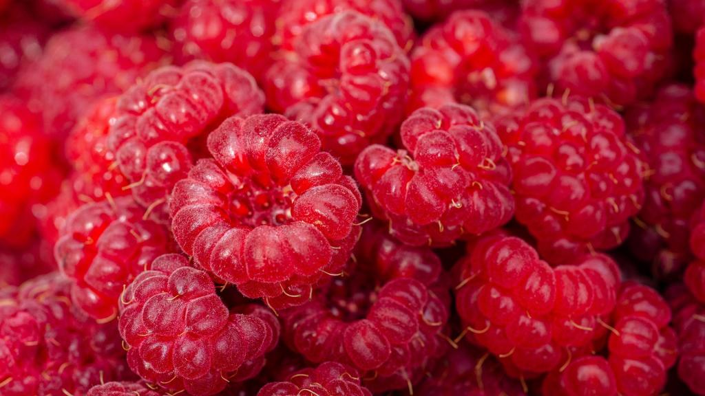 fruits de saison