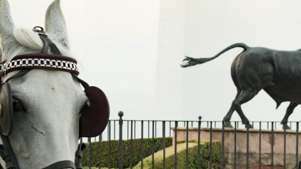 caleche malaga