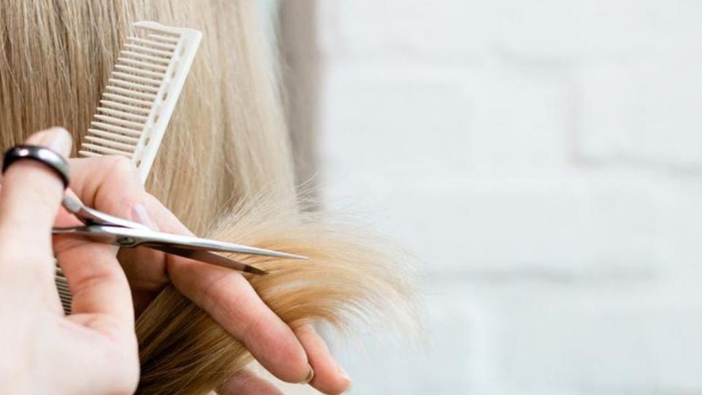 recycler nos cheveux pour depolluer les ocean