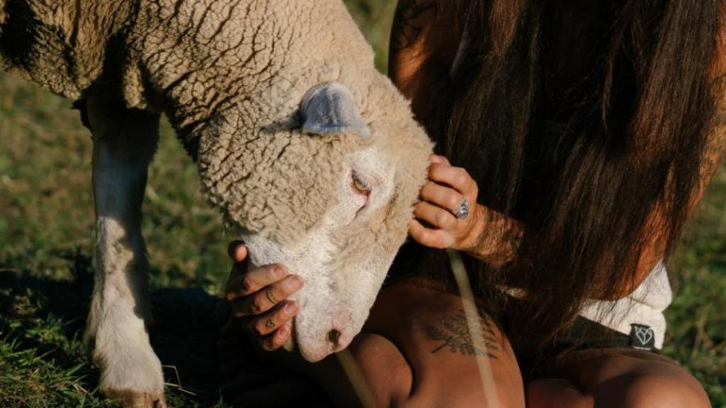 mouton et femme