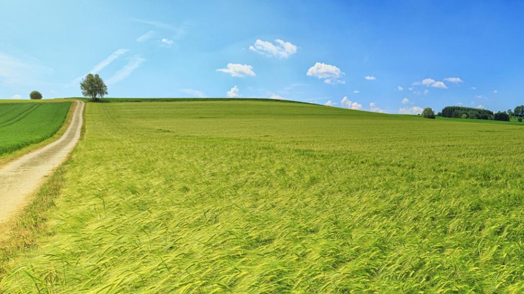 bioenergie