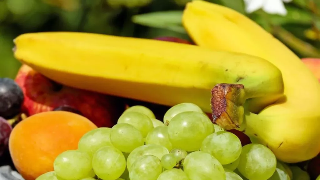 nutriscore obligatoire