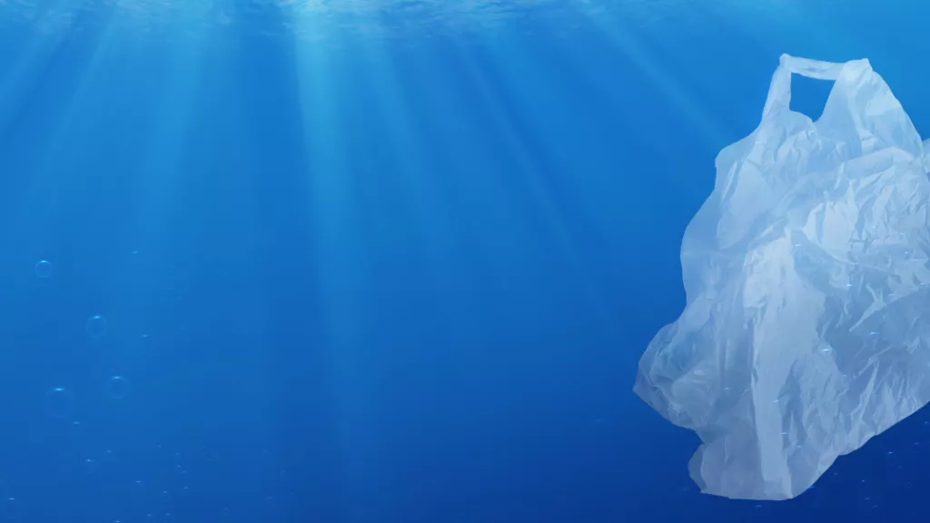 Dix ans après l’interdiction des sacs plastiques, la pollution en recul