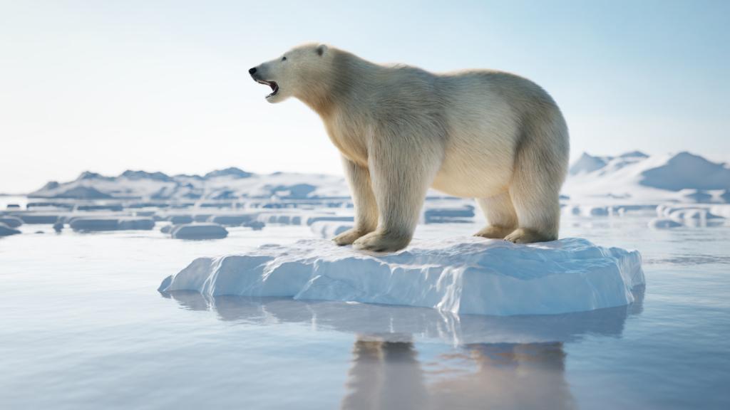 Les causes du réchauffement climatique