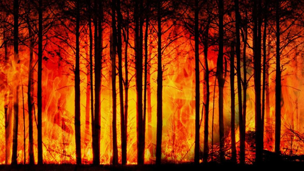 Incendies en Europe : comprendre les causes et les conséquences de ce fléau