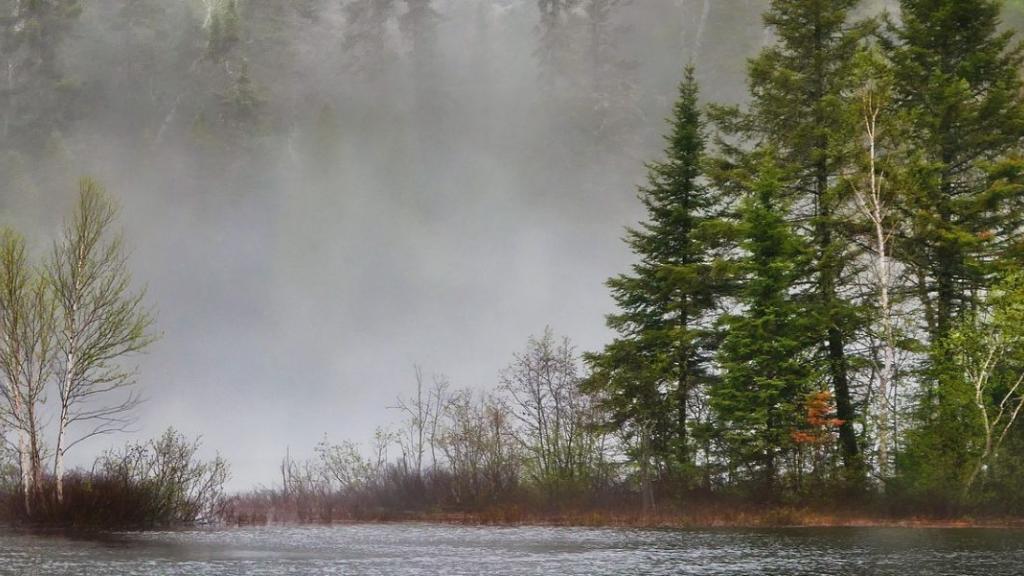 Pacte vert pour l'Europe : comment l’UE finance la transition écologique