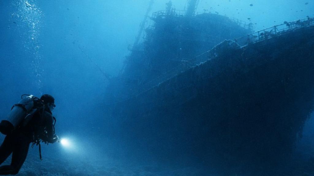 Pourquoi les épaves sous-marines attirent-elles autant de biodiversité ?