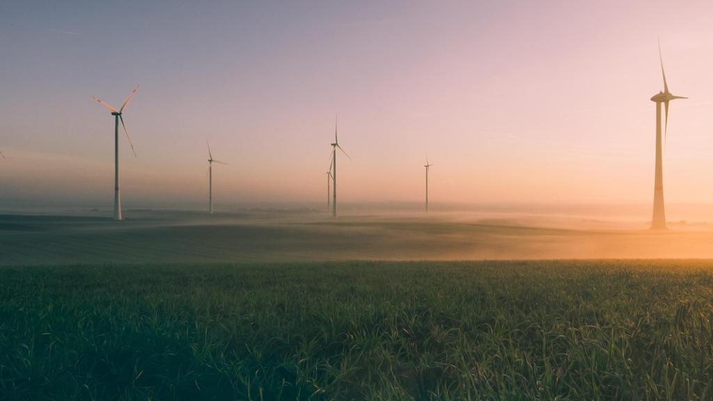 L’humour engagé est-il un nouveau moyen de protéger l'environnement ?
