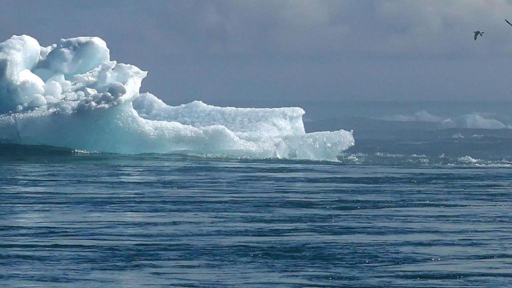 Earth Hour : une heure pour la planète et contre le changement climatique
