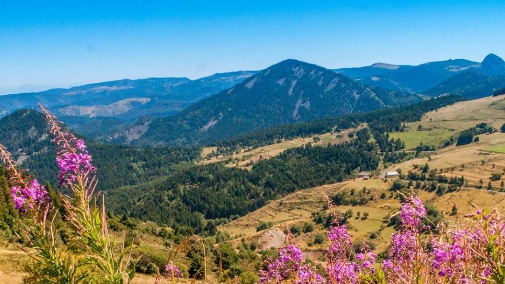 La région Auvergne-Rhône-Alpes boycotte les produits du Mercosur dans les cantines