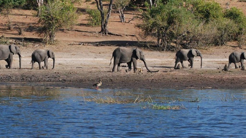 L’IA utilise une quantité d’eau équivalente à la consommation mondiale annuelle d’eau en bouteille