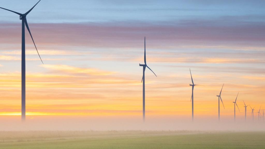 Combien d’emplois créent réellement les énergies renouvelables ?