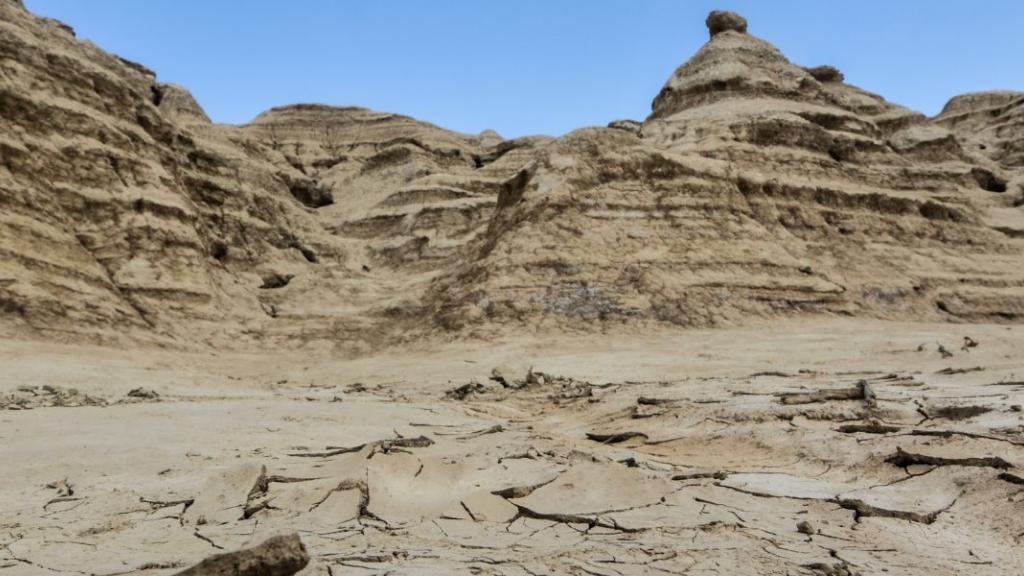 Érosion de la biodiversité : comprendre les causes et agir à son échelle