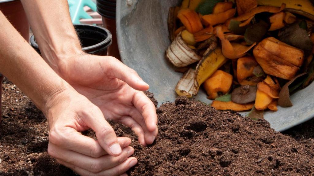 Compostage obligatoire : un an après, comment s’organiser en ville comme à la campagne ?