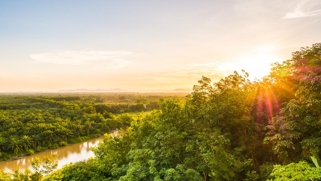 Bonne nouvelle : les incendies en Amazonie brésilienne au plus bas depuis 1985
