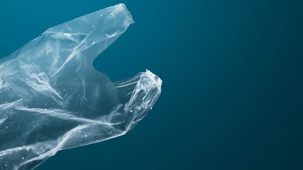Ce plastique se dissout dans l’eau salée en moins de 9 heures