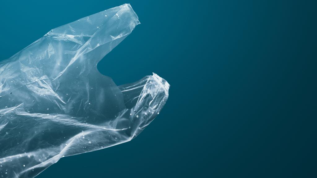 Ce plastique se dissout dans l’eau salée en moins de 9 heures
