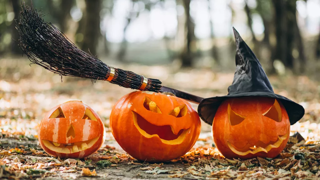 Chauves-souris, serpents, araignées : pourquoi sont-ils associés à Halloween ?