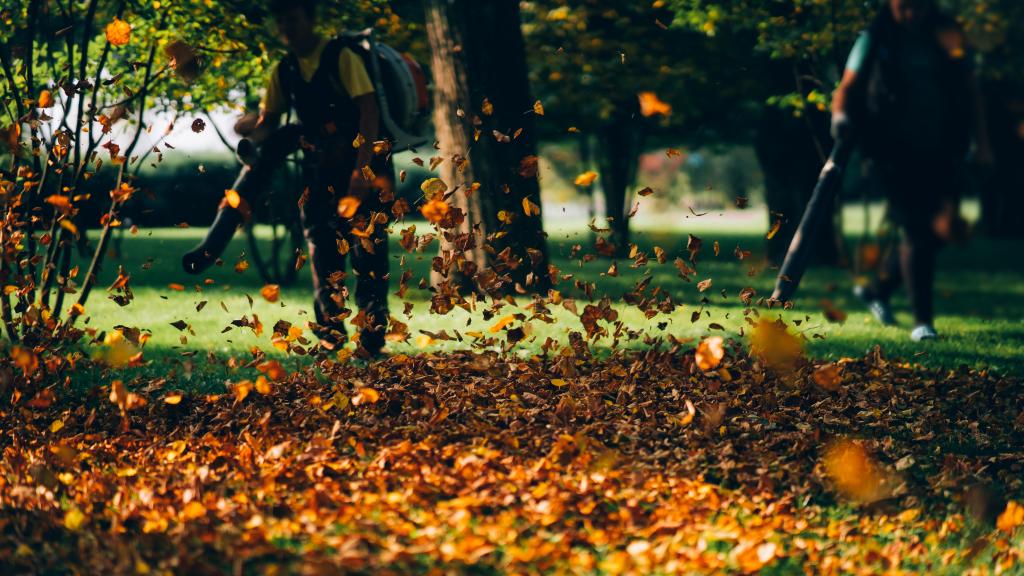 Voici pourquoi il ne faut pas trop nettoyer son jardin en automne