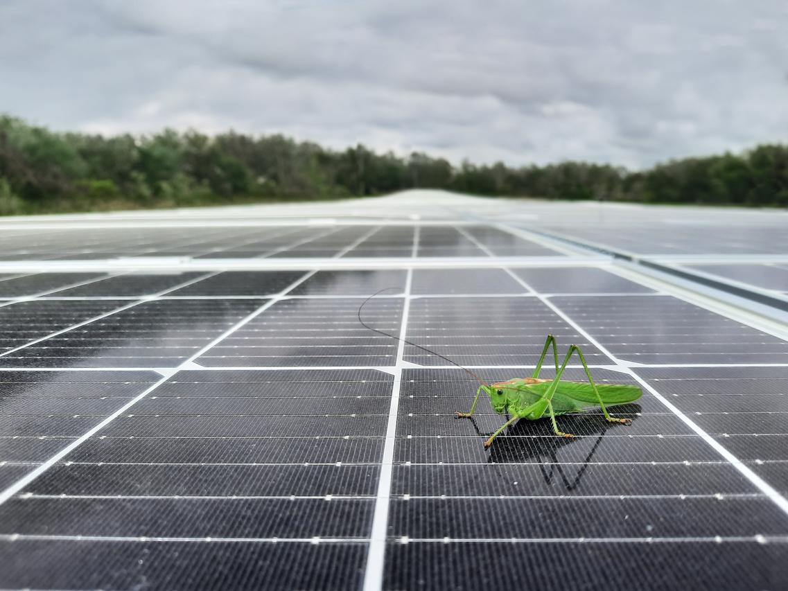 Comment fonctionne un panneau solaire ? 