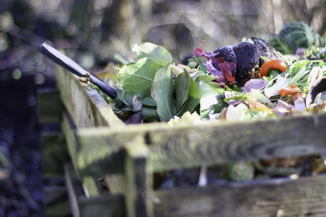 Compostage obligatoire en 2024 