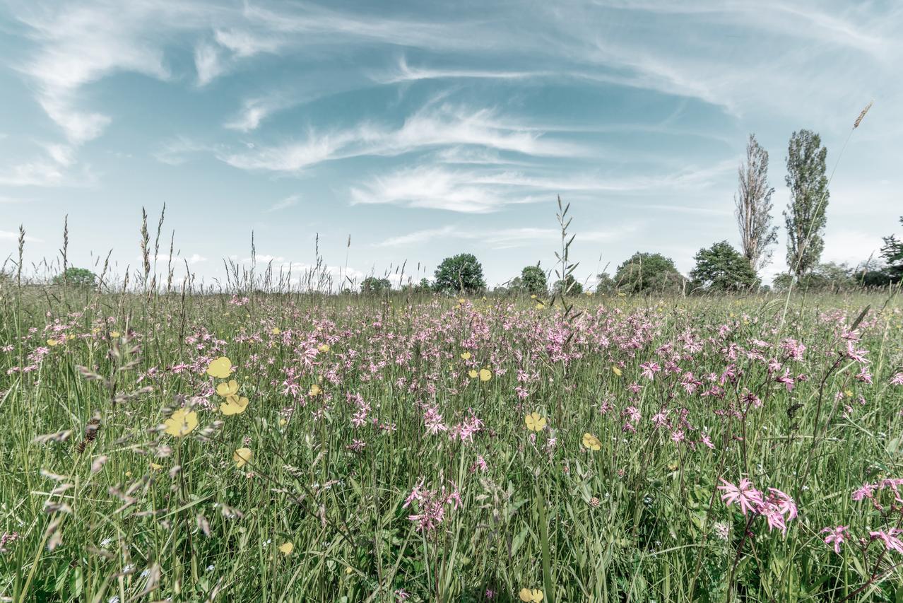 Biodiversité 