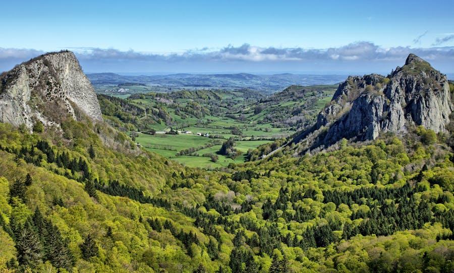 Forêt française près du Mont Doré