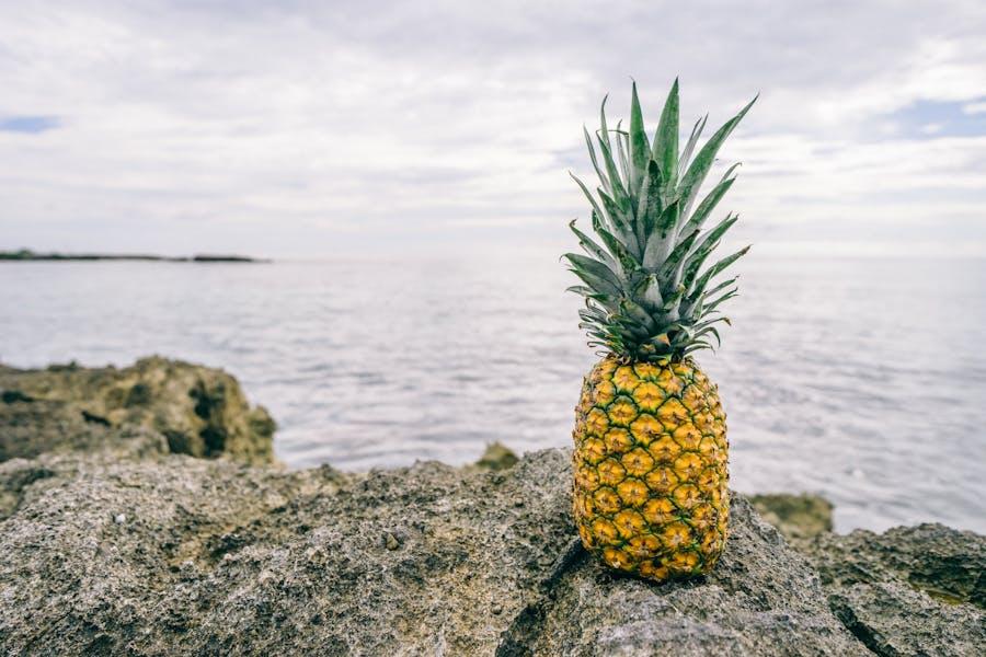 Moonkeys créations fait des portefeuilles à base d'ananas