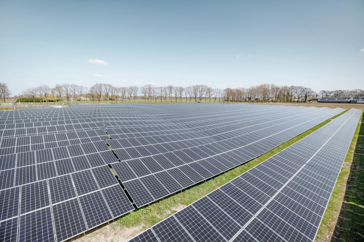 ferme solaire