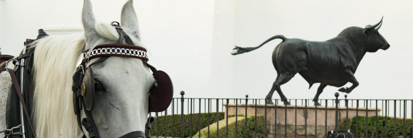 caleche malaga
