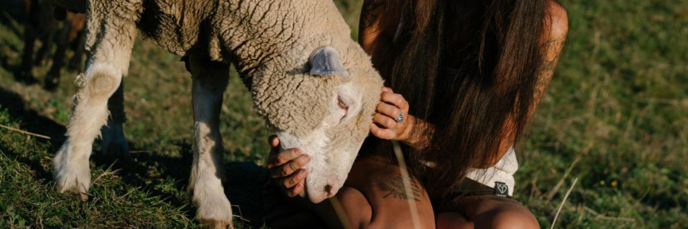 mouton et femme