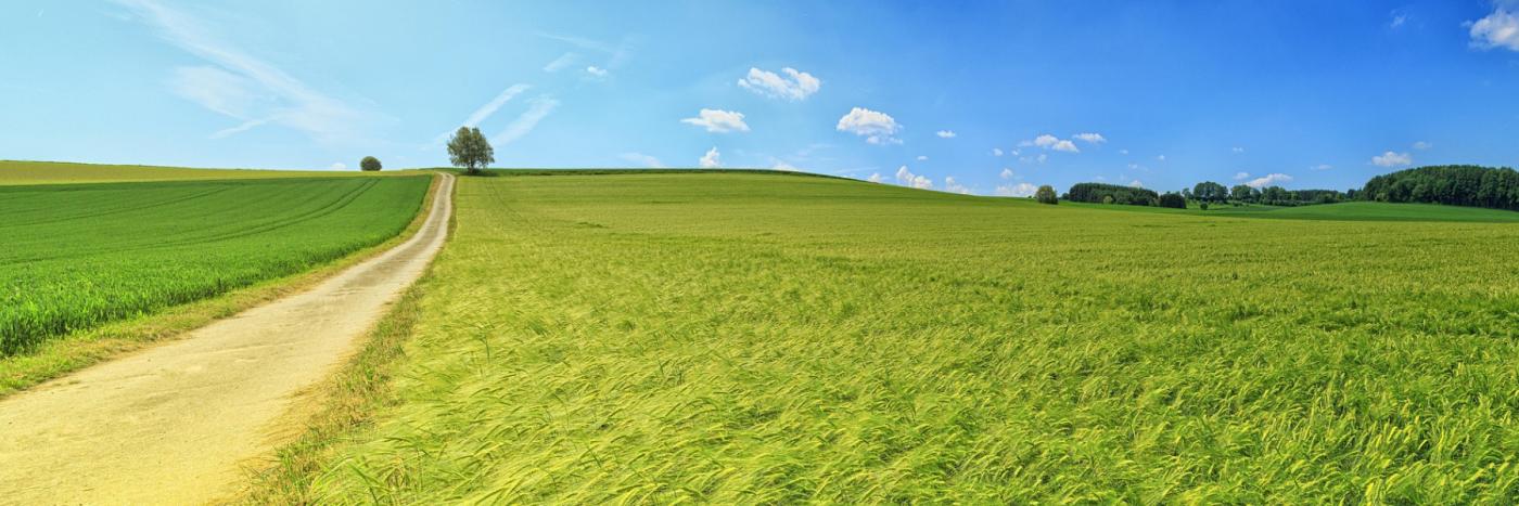 bioenergie