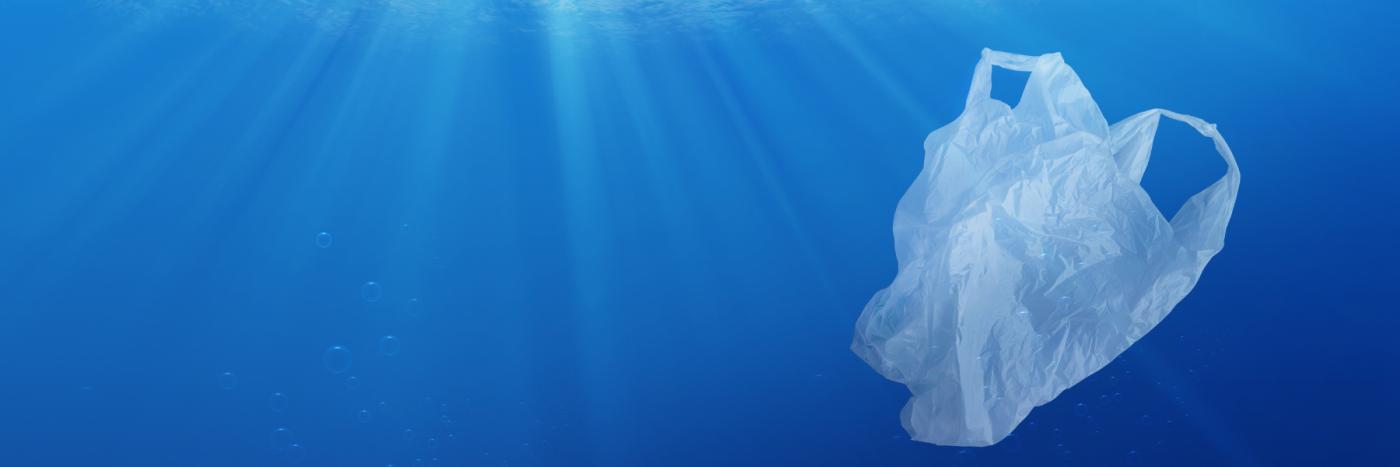 Dix ans après l’interdiction des sacs plastiques, la pollution en recul