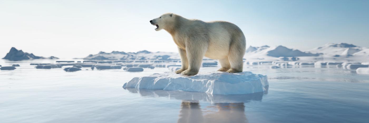 Les causes du réchauffement climatique
