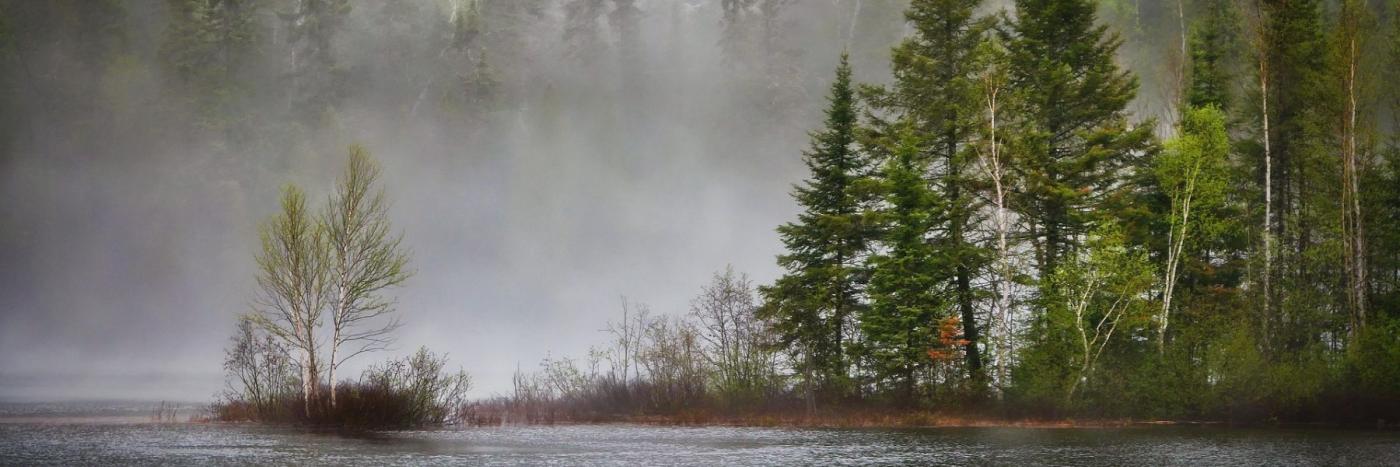 Pacte vert pour l'Europe : comment l’UE finance la transition écologique