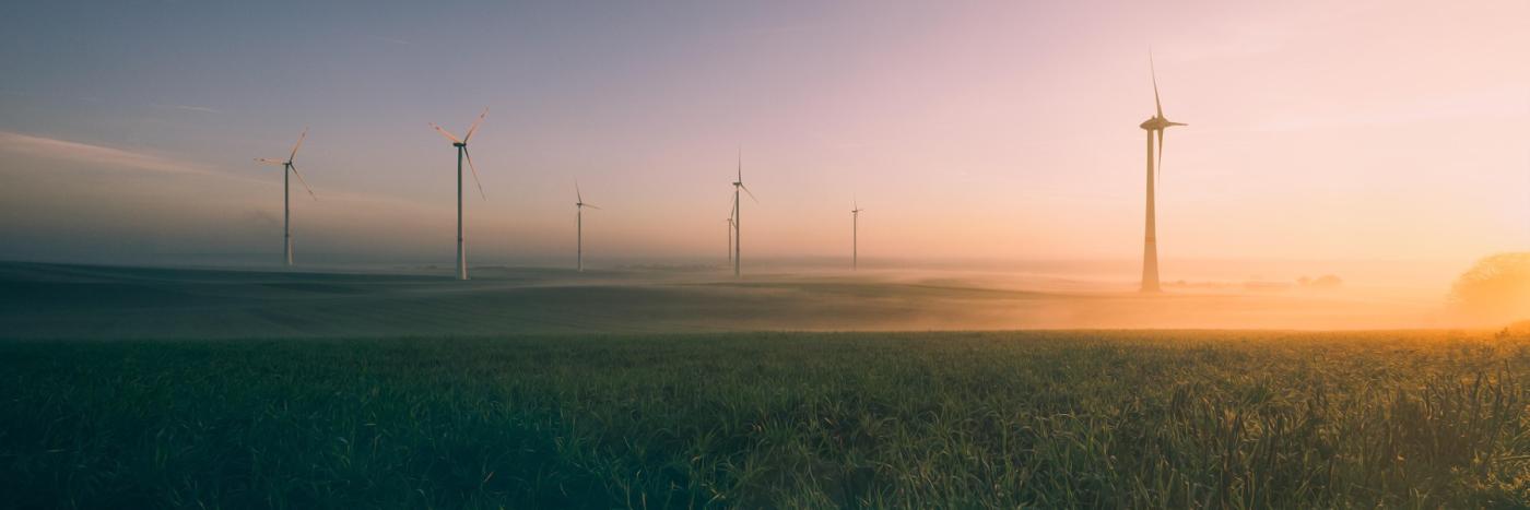 L’humour engagé est-il un nouveau moyen de protéger l'environnement ?