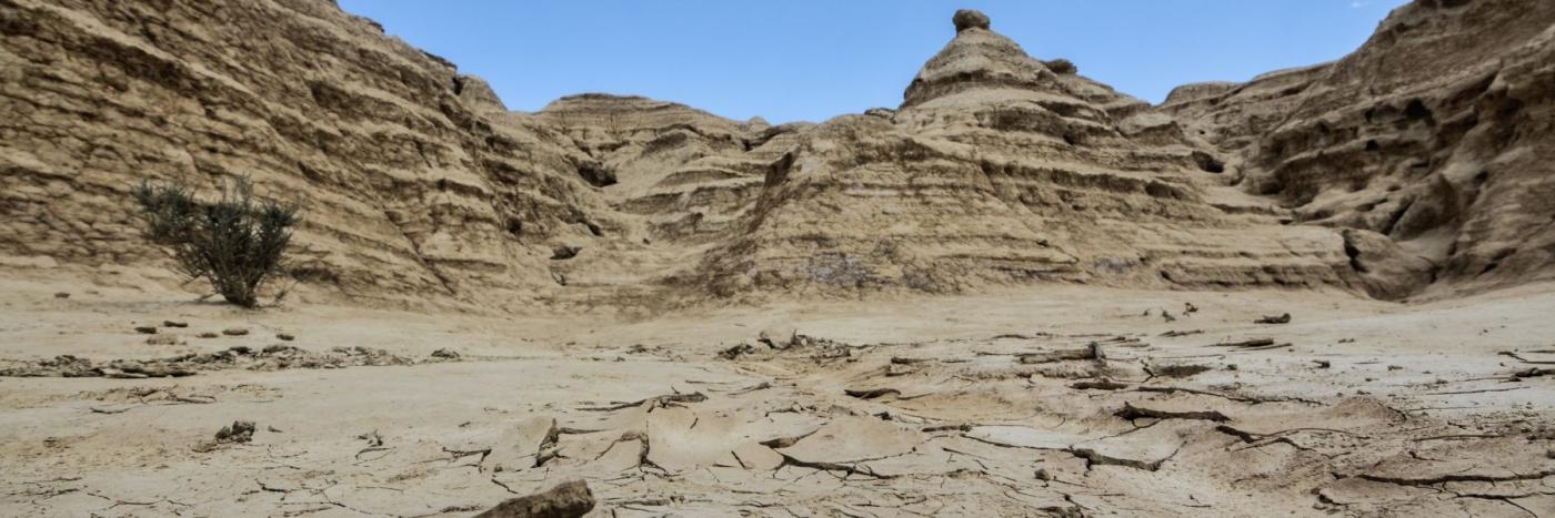 Érosion de la biodiversité : comprendre les causes et agir à son échelle