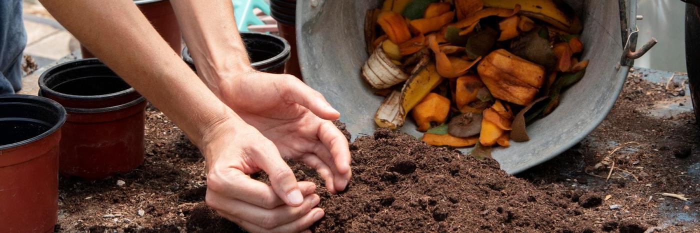 Compostage obligatoire : un an après, comment s’organiser en ville comme à la campagne ?