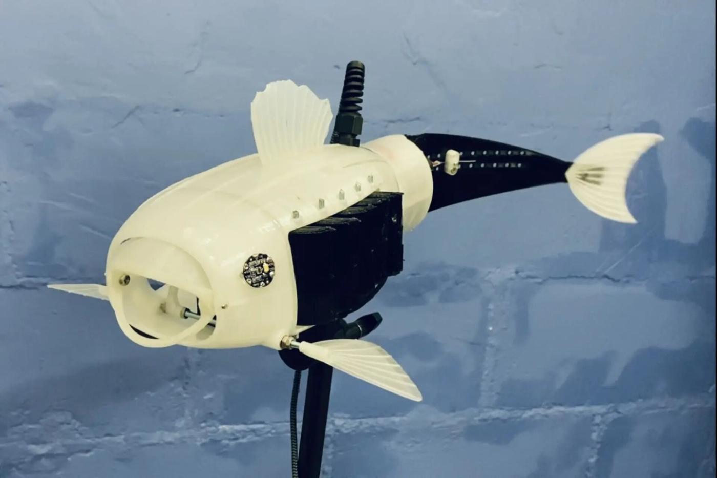 Voici Gillbert, un poisson-robot qui lutte contre la pollution plastique