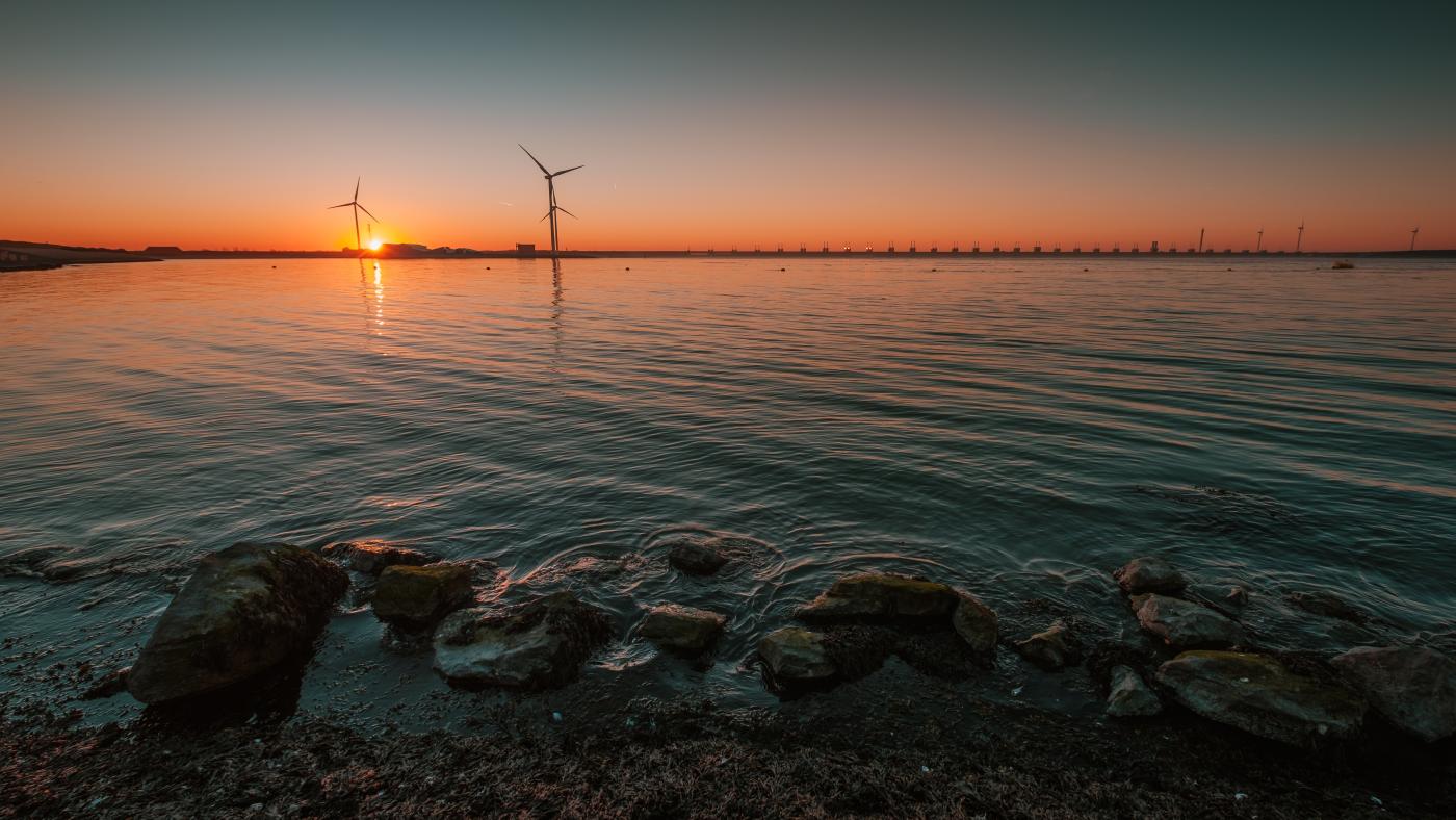 Ce que l'on sait vraiment des effets de l'éolien en mer sur la biodiversité