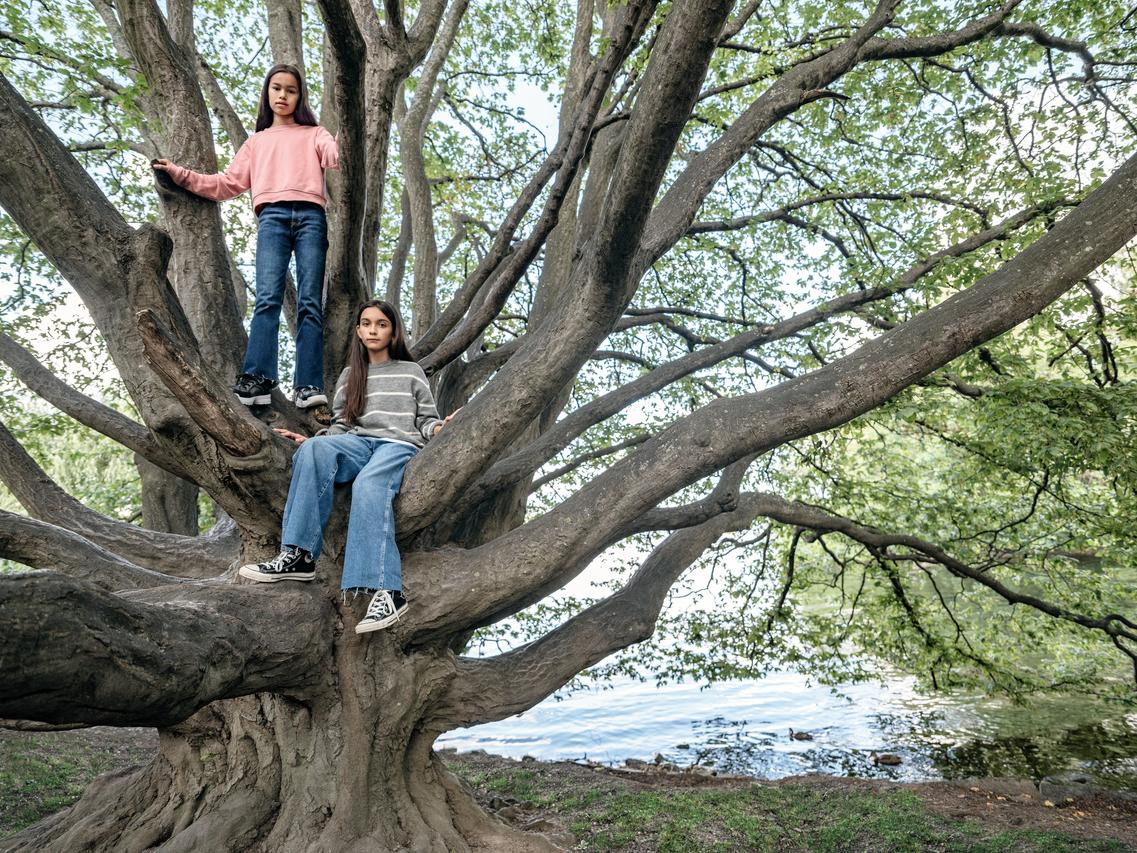 Elle organise des concerts en forêt pour sensibiliser à leur protection